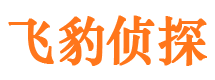 禅城侦探公司